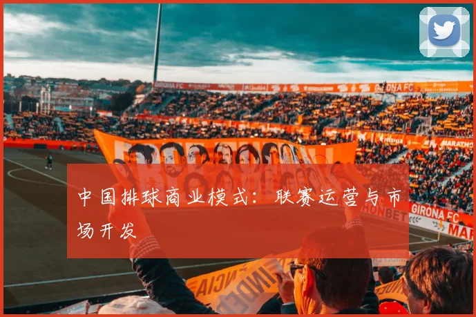 中国排球商业模式:联赛运营与市场开发