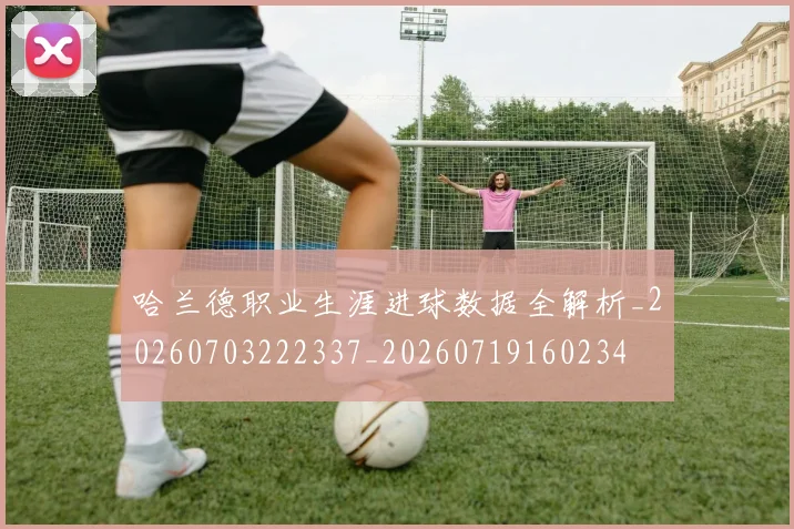 哈兰德职业生涯进球数据全解析_20260703222337_20260719160234