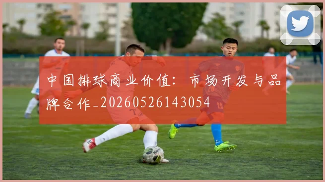 中国排球商业价值：市场开发与品牌合作_20260526143054