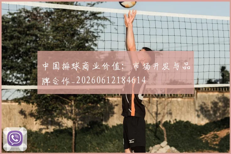 中国排球商业价值：市场开发与品牌合作_20260612184614